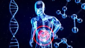 Grinding Food Before Digestion: Why It Matters More Than You Think
