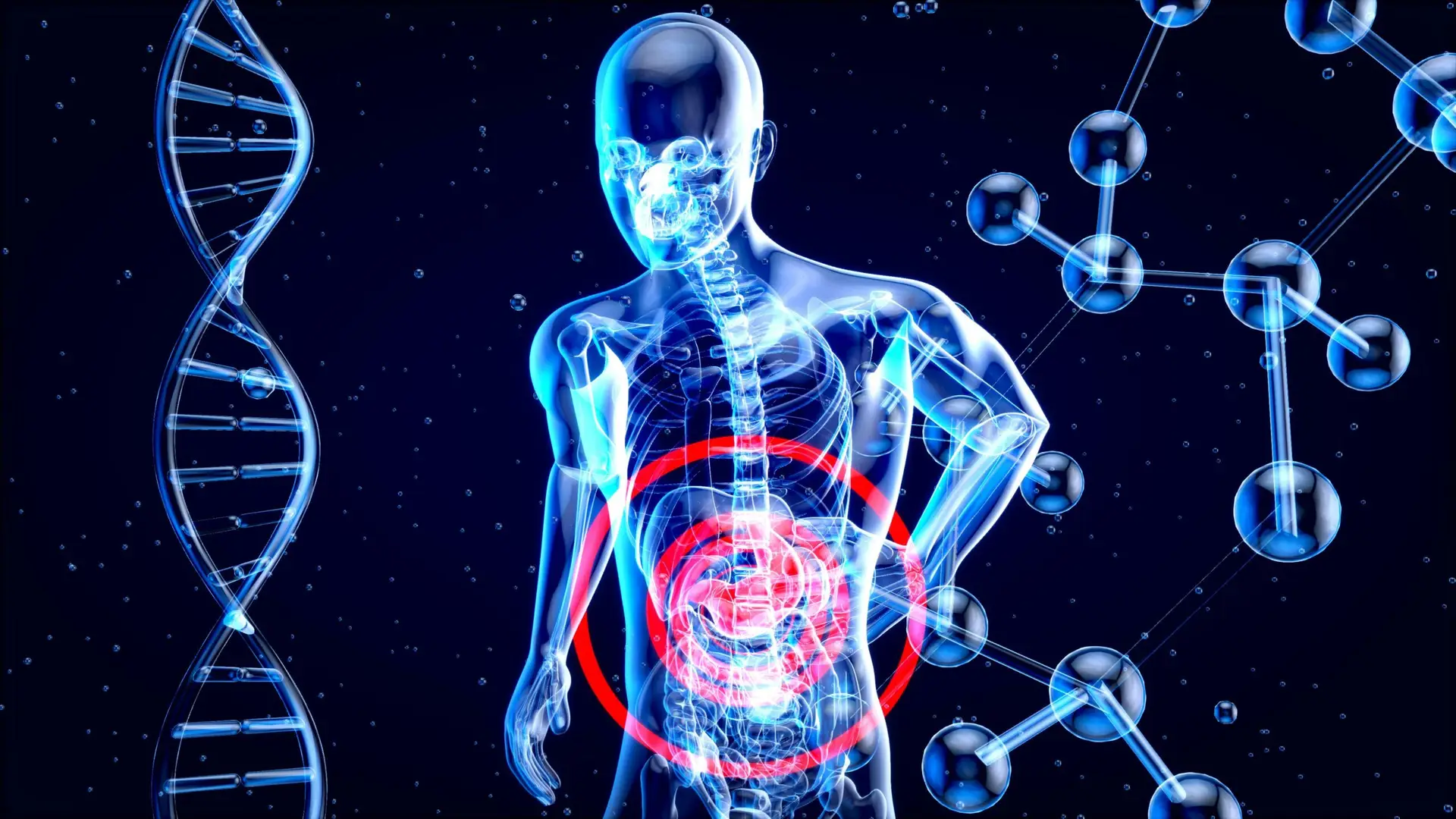 Grinding Food Before Digestion: Why It Matters More Than You Think