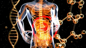 Gut Health and Immunity